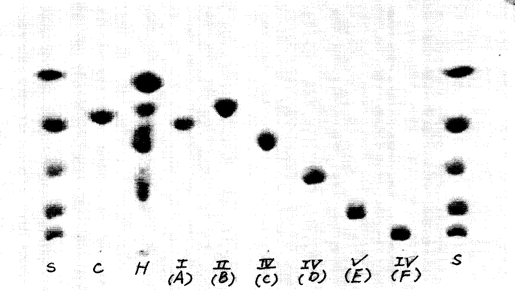 Production method of konjak mannose using cellulase