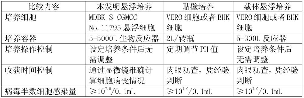 Bovine kidney cells capable of suspension culture and suspension culture method and application thereof