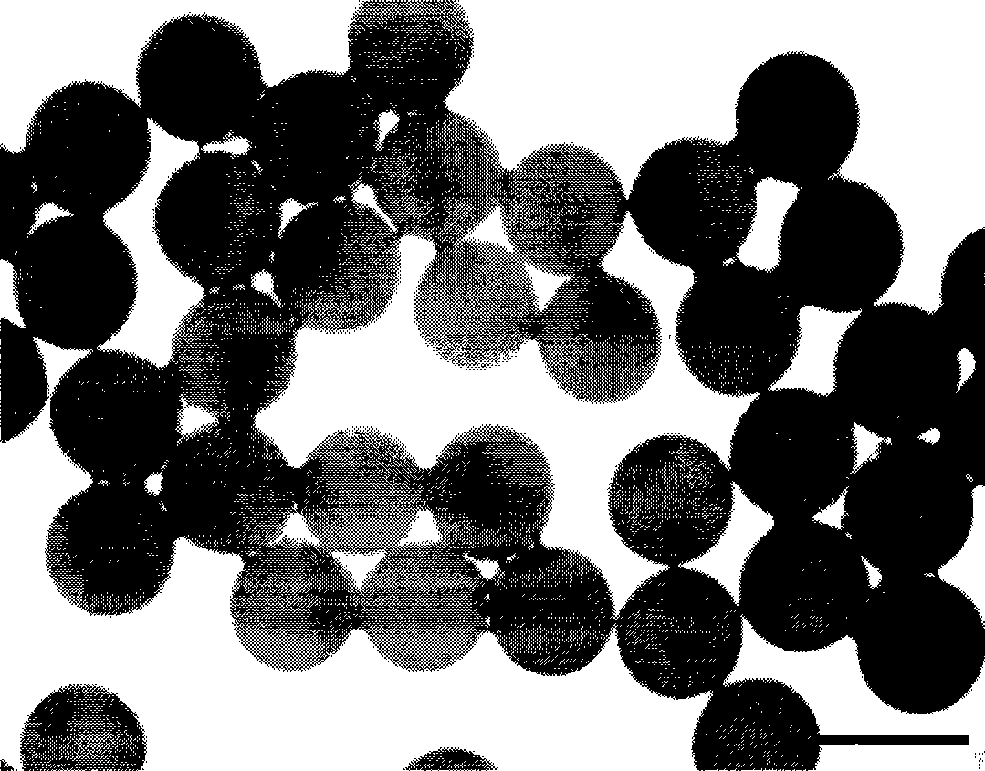 Method for preparing monodisperse polylactic acid microsphere