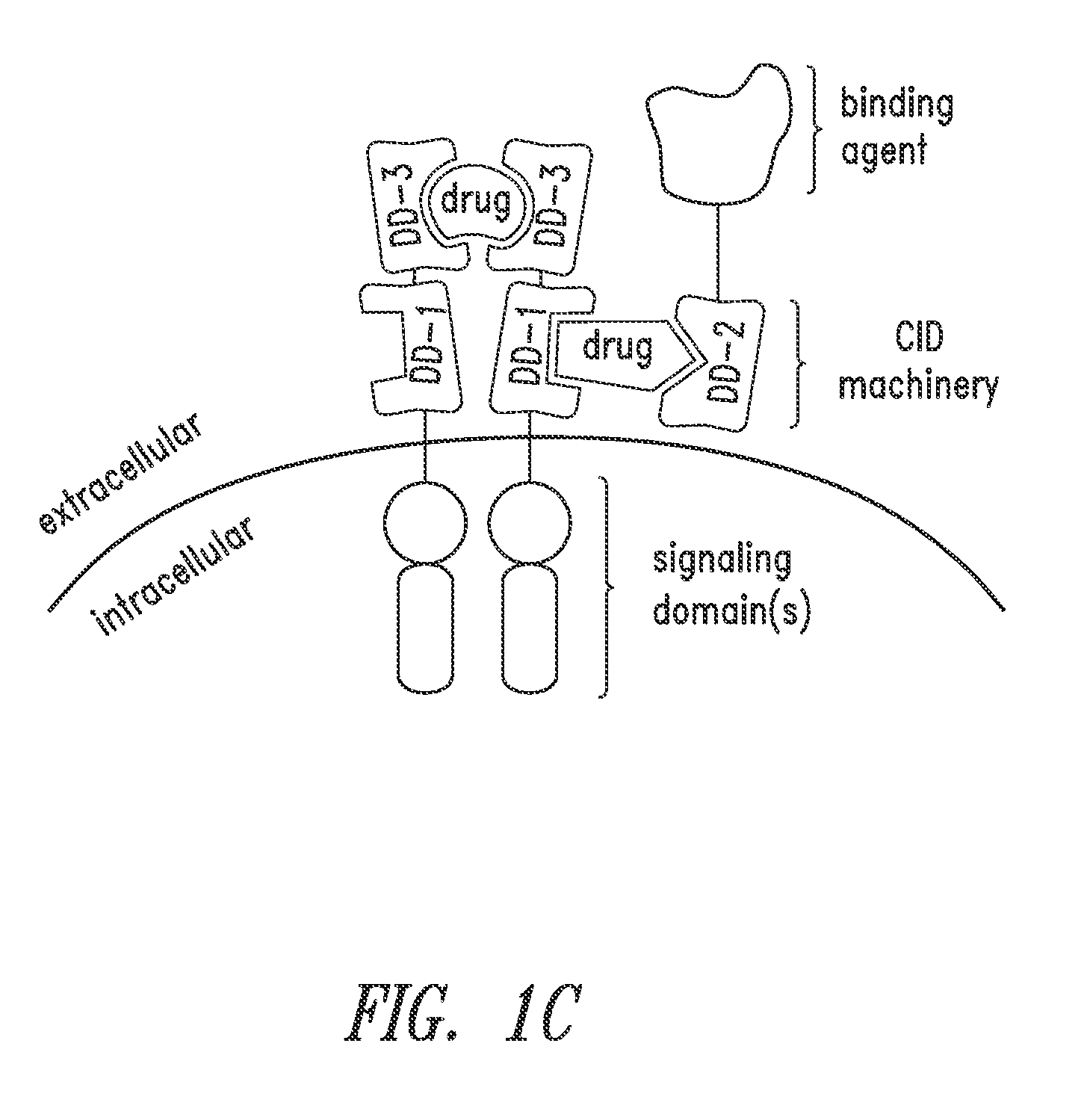 Multipartite signaling proteins and uses thereof