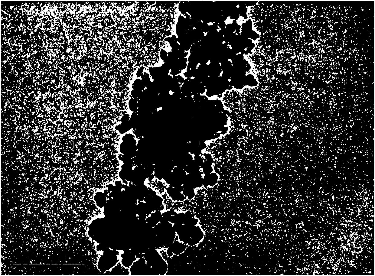 Preparation method of carbon quantum dot-molecularly imprinted composite material and method using carbon quantum dot-molecularly imprinted composite material to analyze residues of mesotrione pesticide