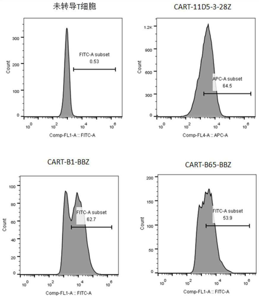 A chimeric antigen receptor targeting bcma and its application