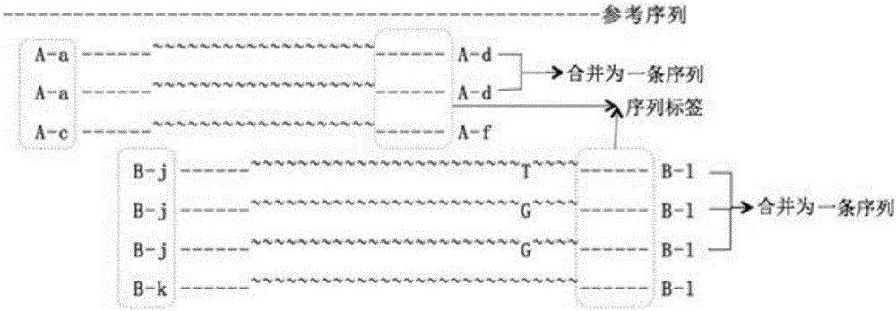 Preparation method of molecular tag