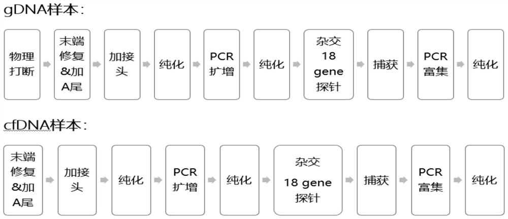 Cancer gene detection kit based on second-generation sequencing probe capture method