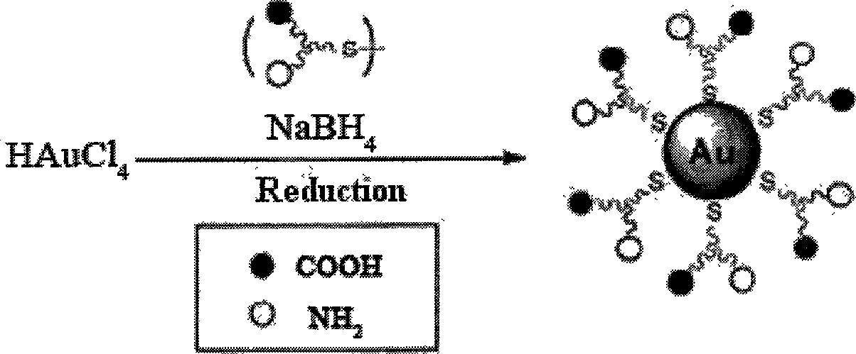 Nanogold Colloid for responding heavy metal ion and method for making same