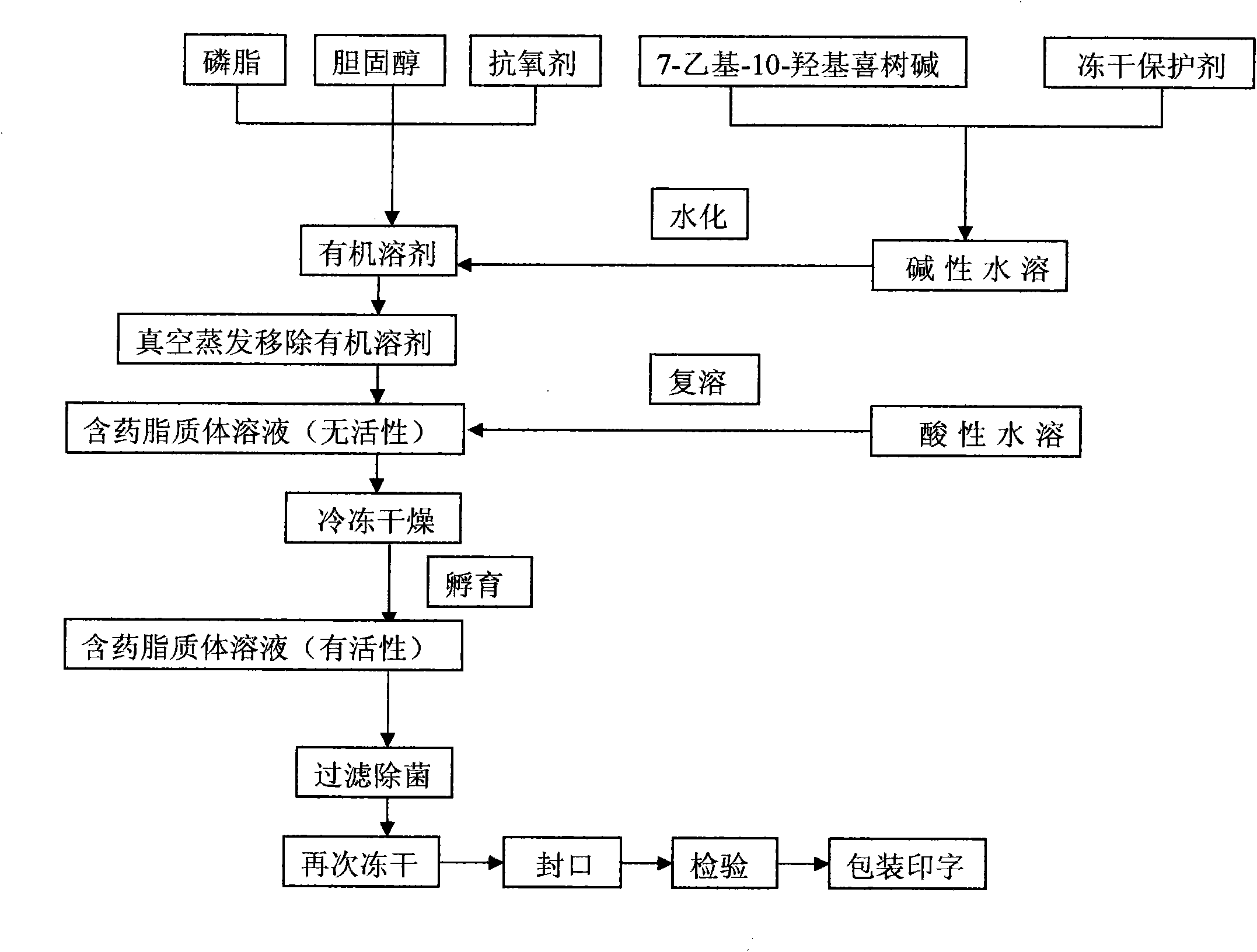 7-ethyl-10-hydroxycamptothecine liposome freeze-dried powder injection and preparation method thereof