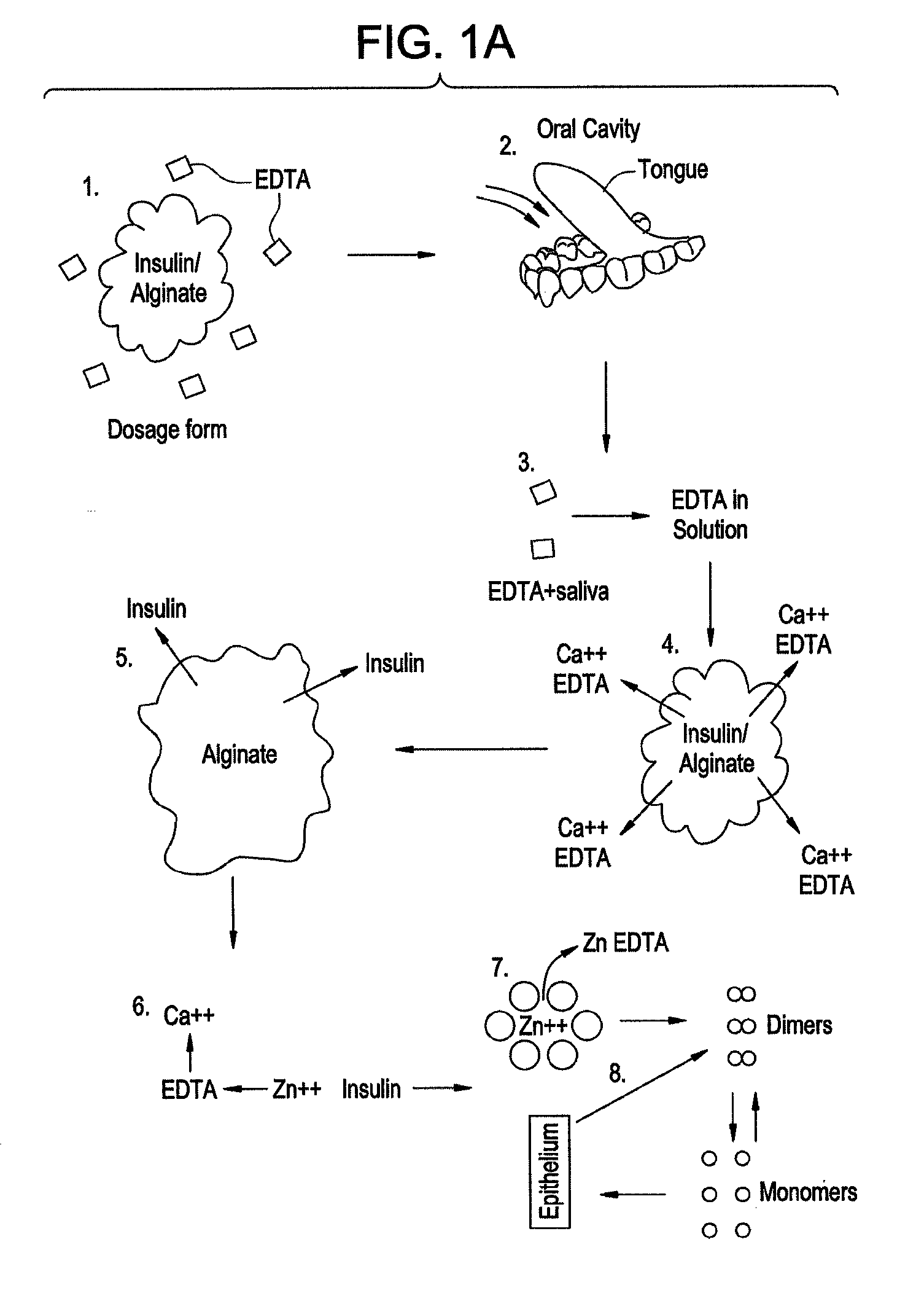 Rapid Acting Drug Delivery Compositions