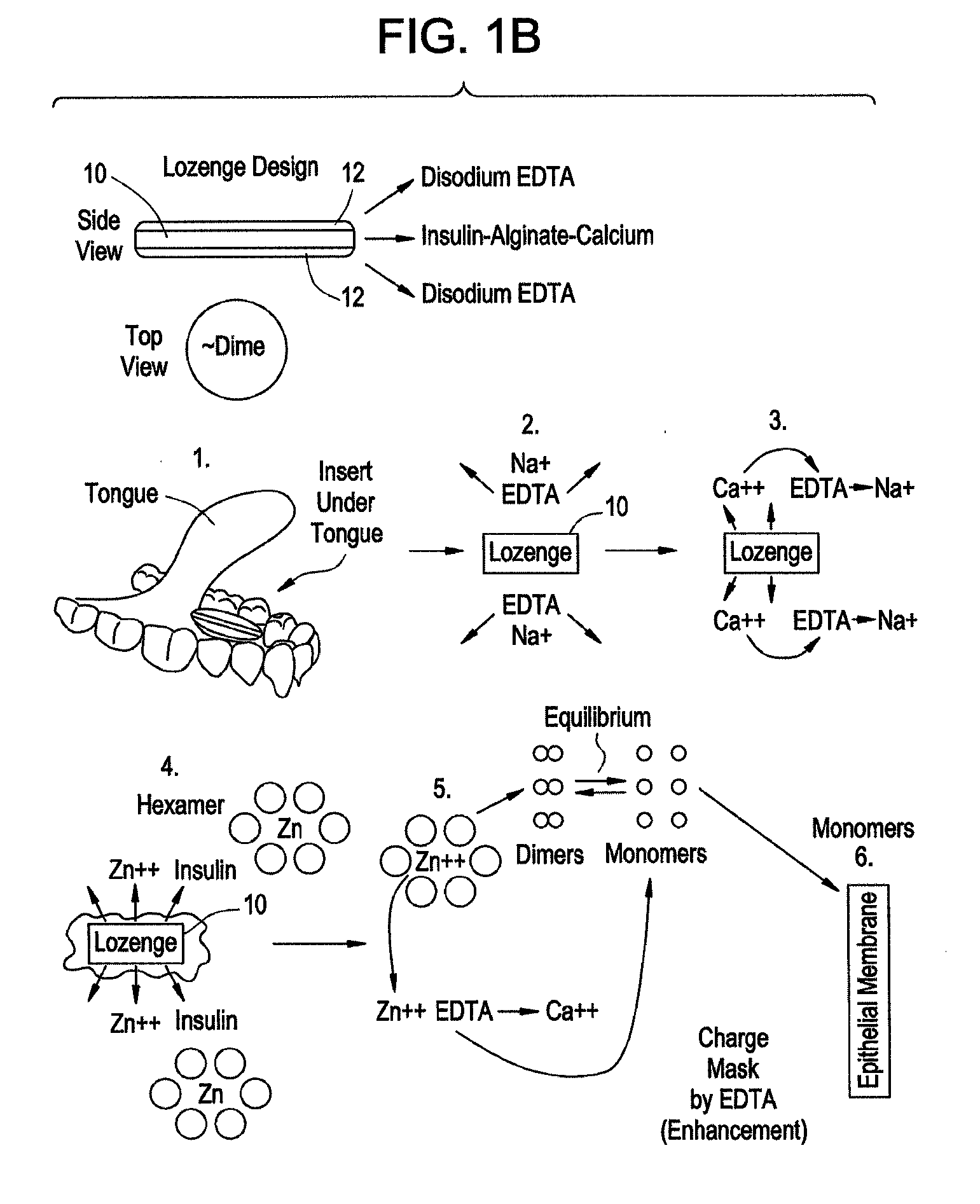 Rapid Acting Drug Delivery Compositions