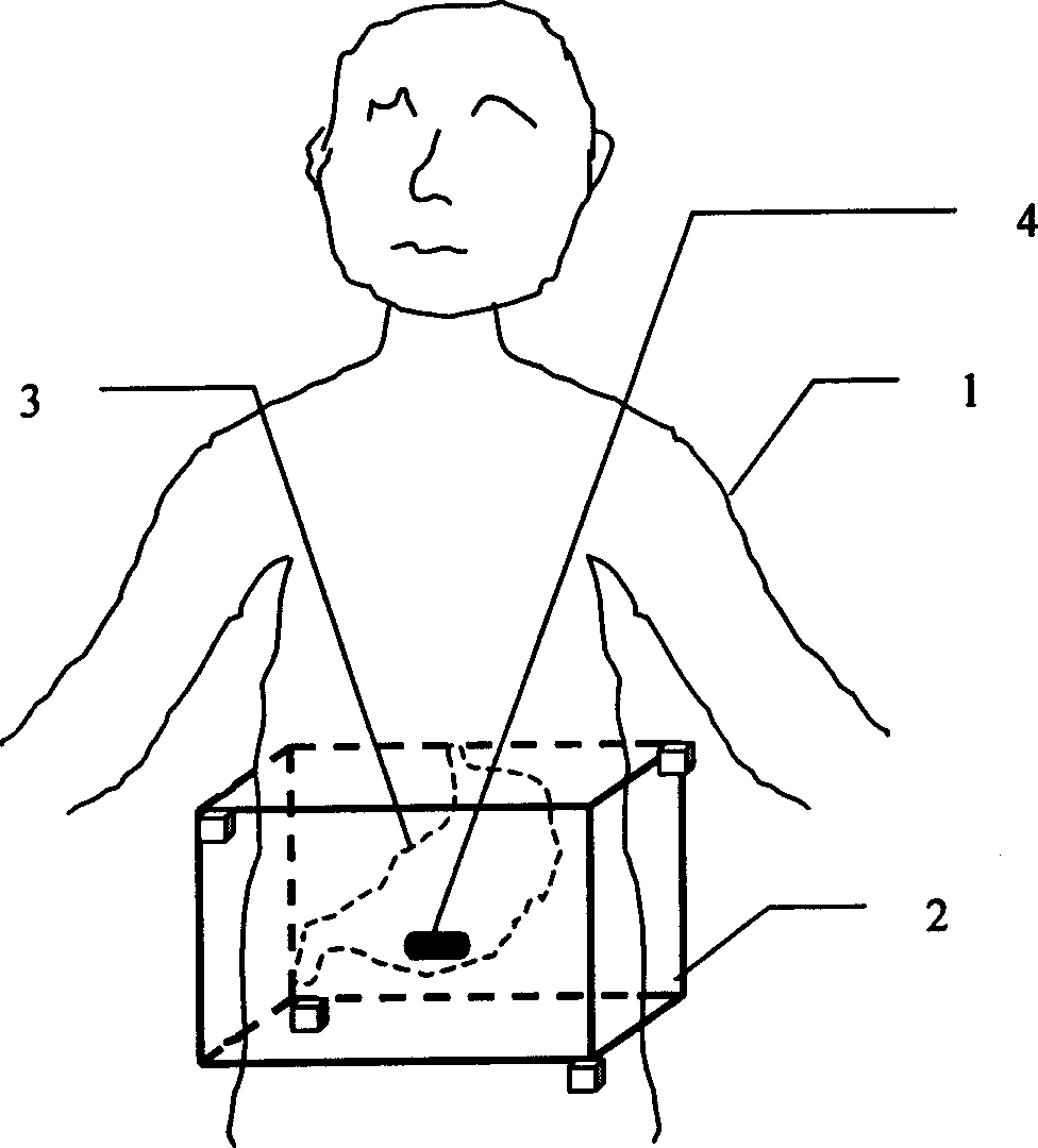 System and position tracing method for dynamic positioning and tracing internal miniature apparatus