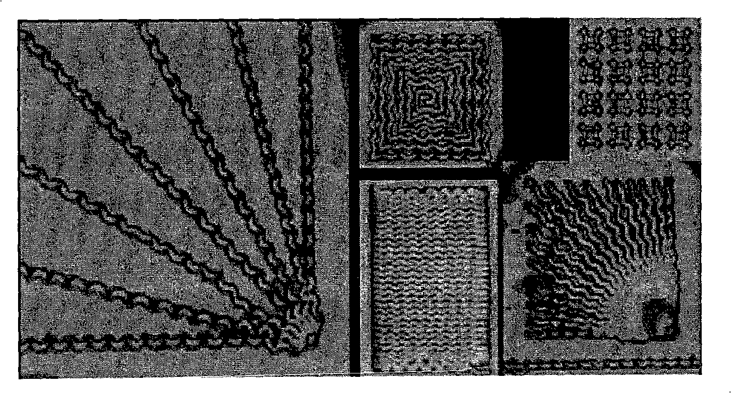 Method for manufacturing hundred nano-scale electric solenoid or net-shaped structure