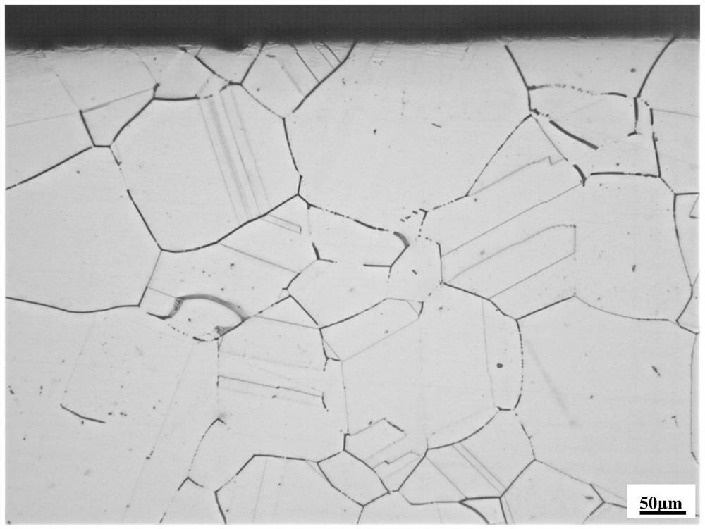 Processing method for improving intergranular corrosion resistance of alloy with fcc crystal structure