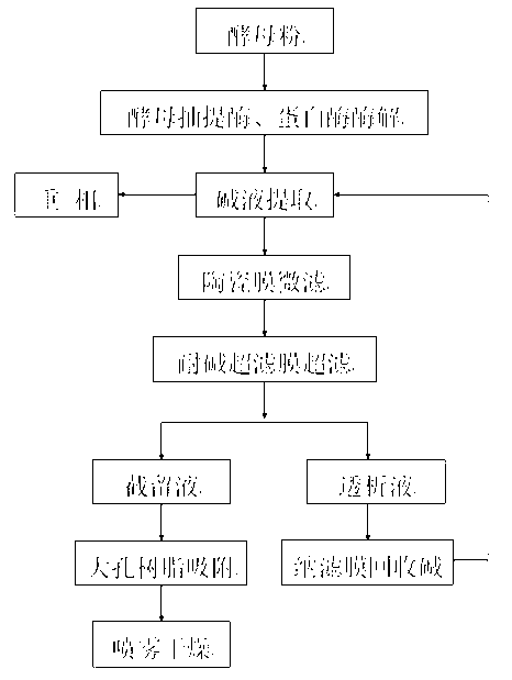 Process for extracting mannan from beer yeast powder