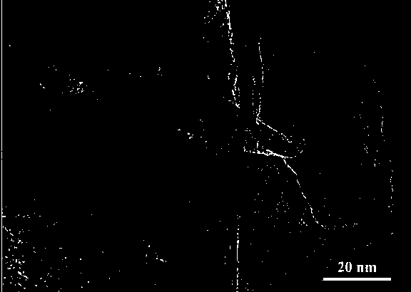 Method for 1T-phase molybdenum disulfide/graphene nano composite material by hydrothermal process