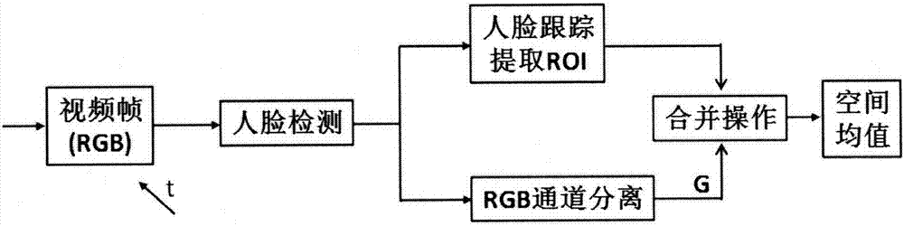 Noncontact measurement method for human heart rate and respiration