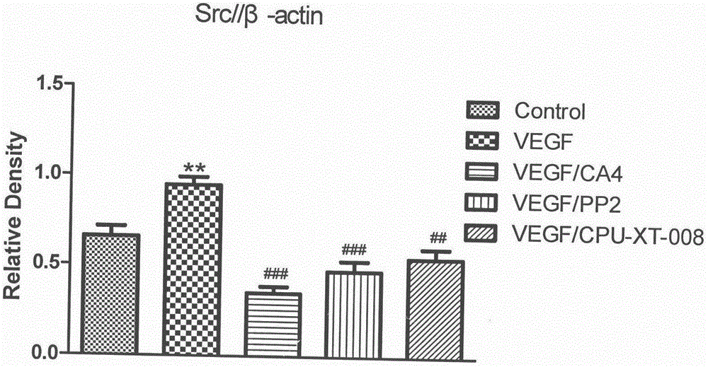 Research on antitumor mechanism of Combretastatin A-4 derivative