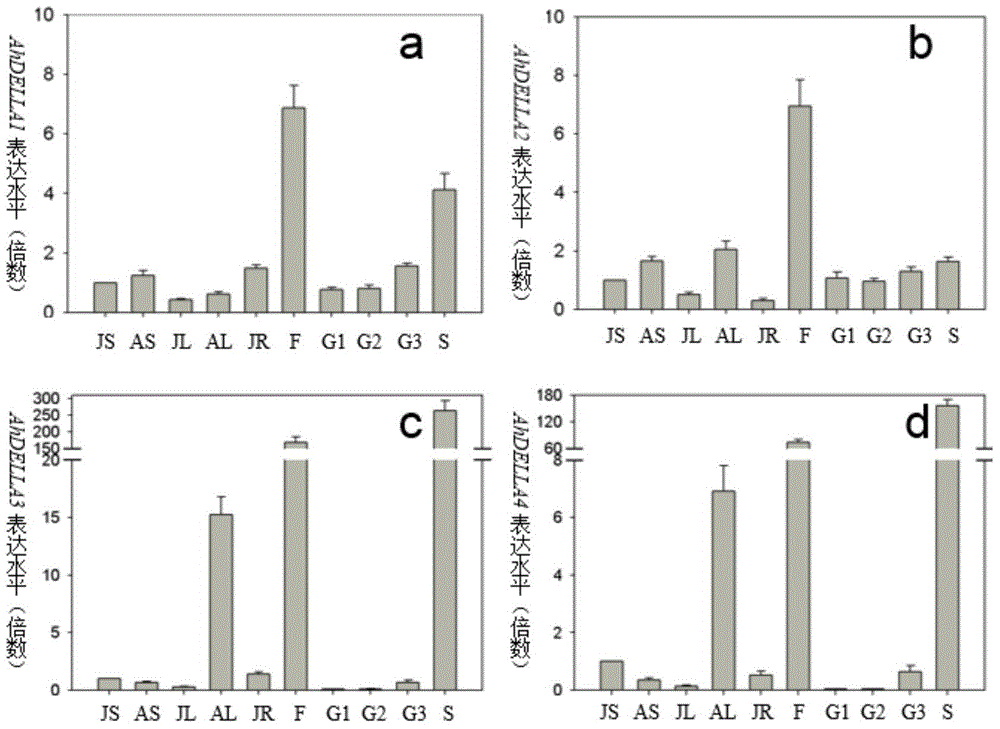 DELLA gene families of peanut as well as encoding genes and applications of DELLA gene families