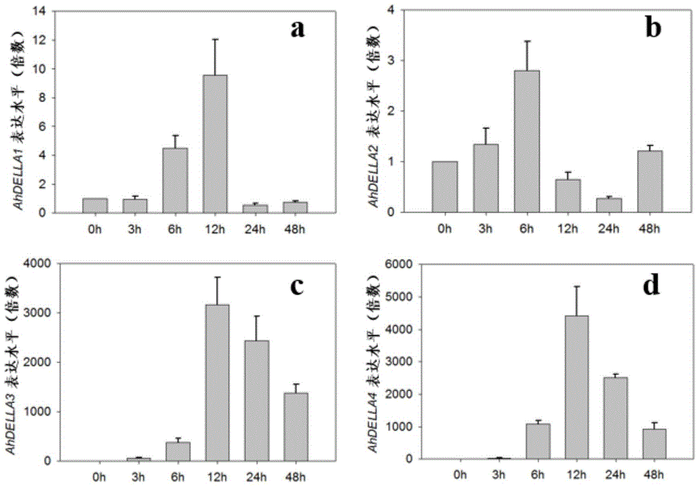 DELLA gene families of peanut as well as encoding genes and applications of DELLA gene families