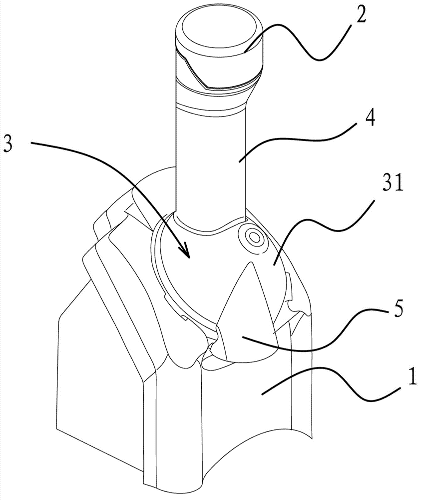 Fruit ice cream machine