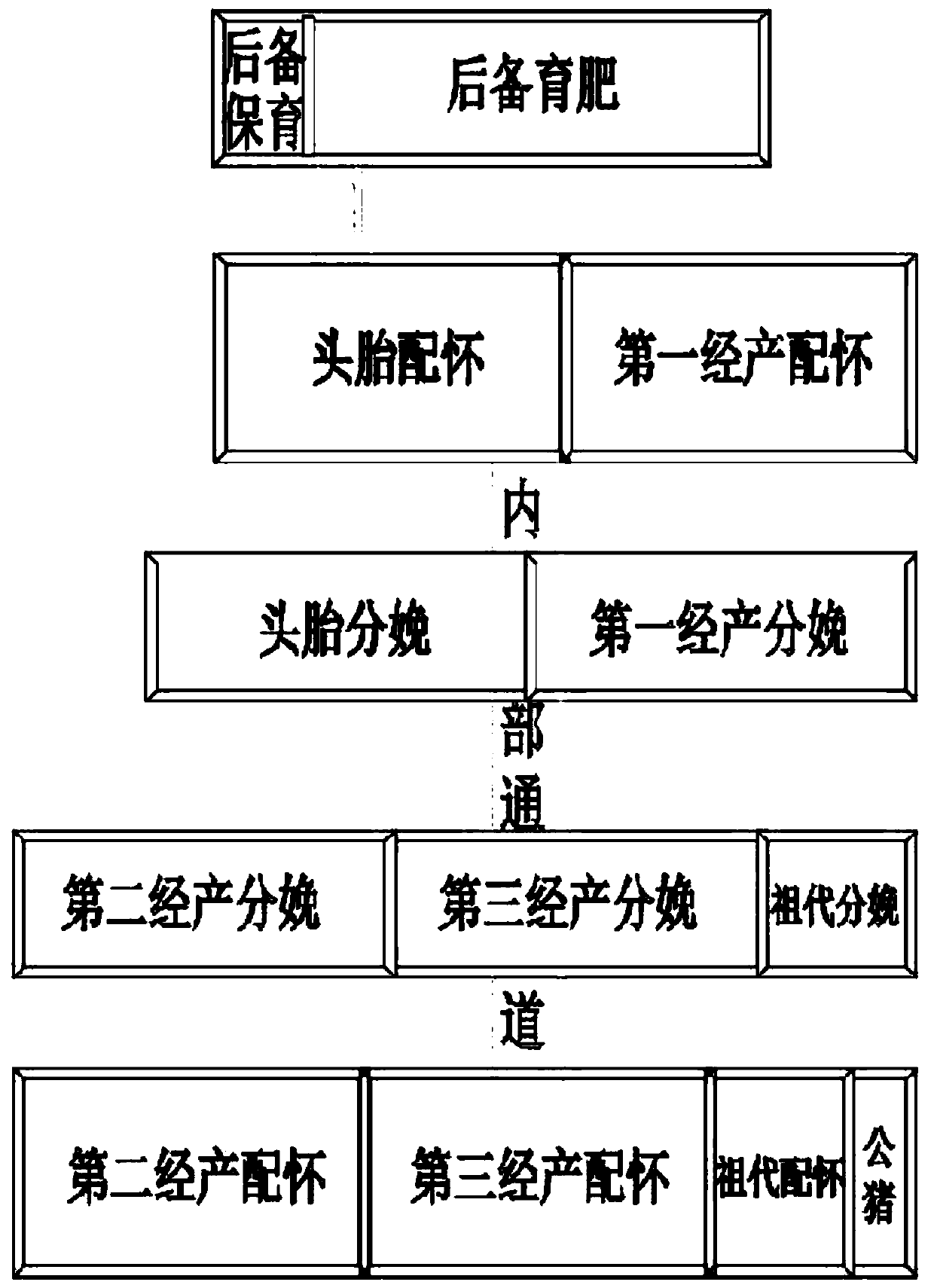 Novel pig farm structure capable of self-renewing pigs and feeding pigs in batches