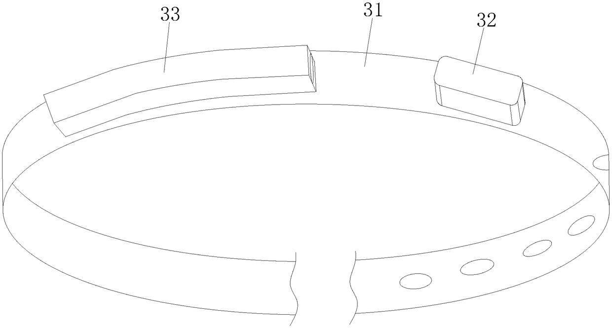 Intelligent collar system capable of preventing animals from being out of control and working method of intelligent collar system