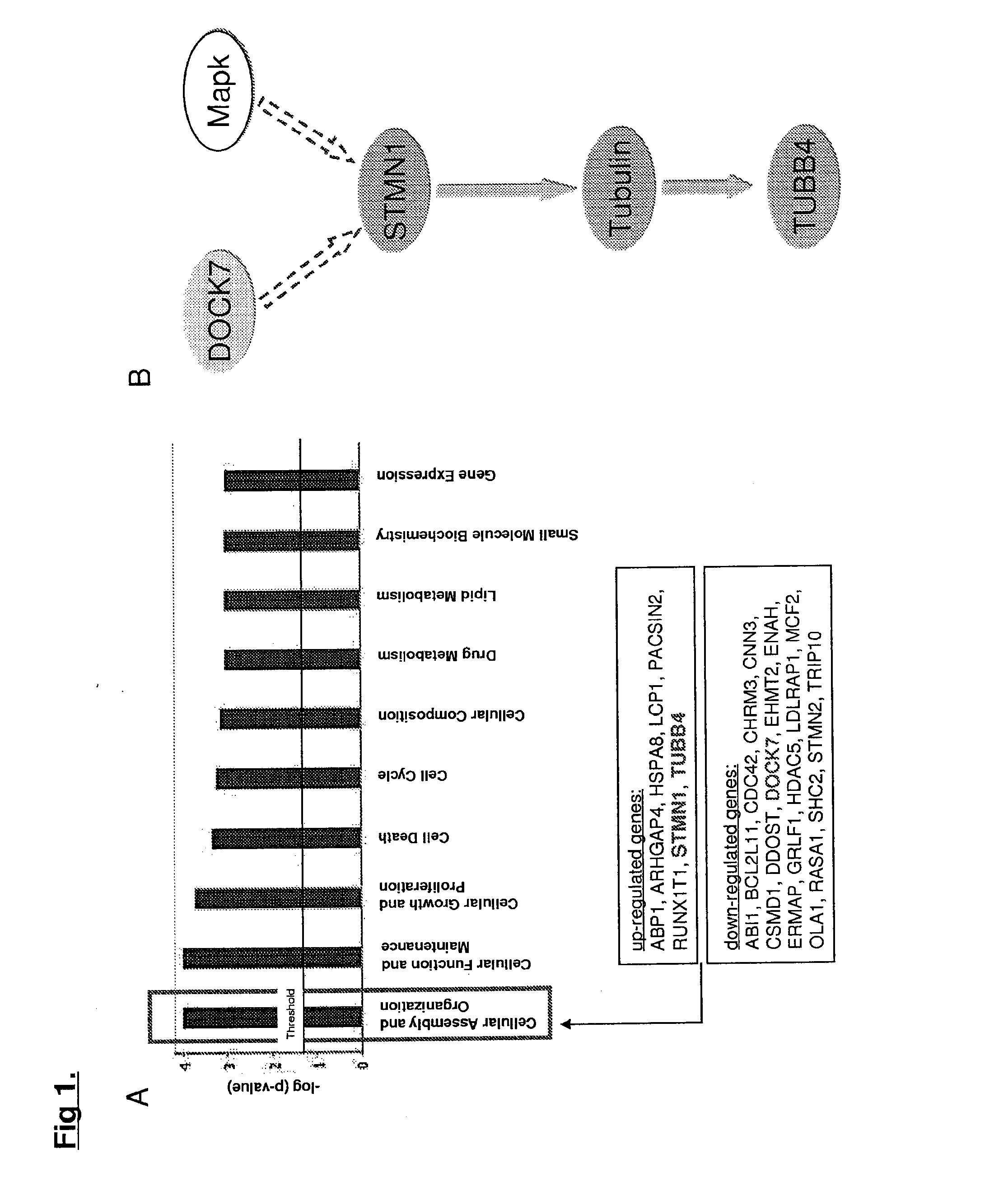 Methods for treating hepatocellular carcinoma