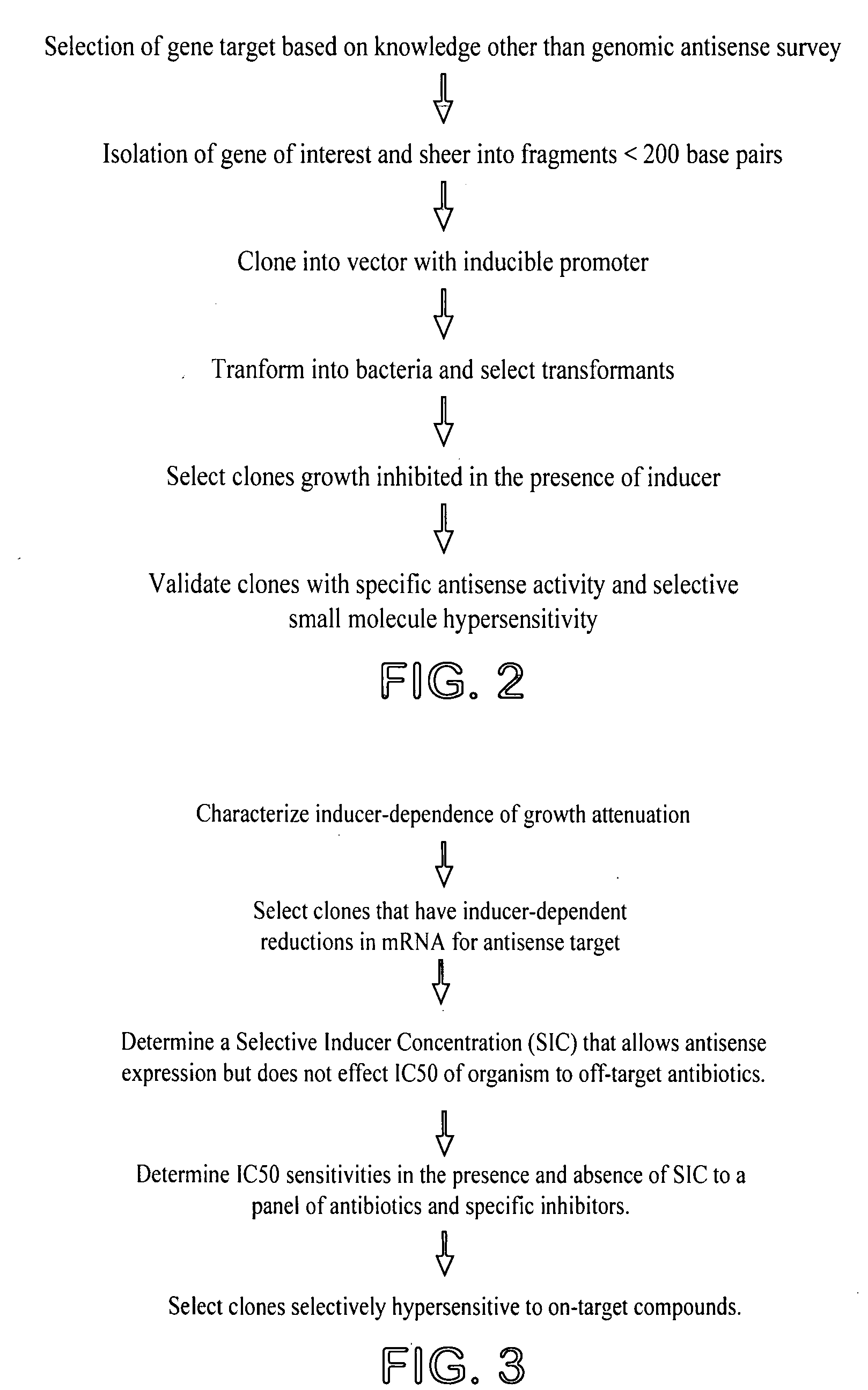 Method for identifying drug-sensitizing antisense DNA fragments and use thereof