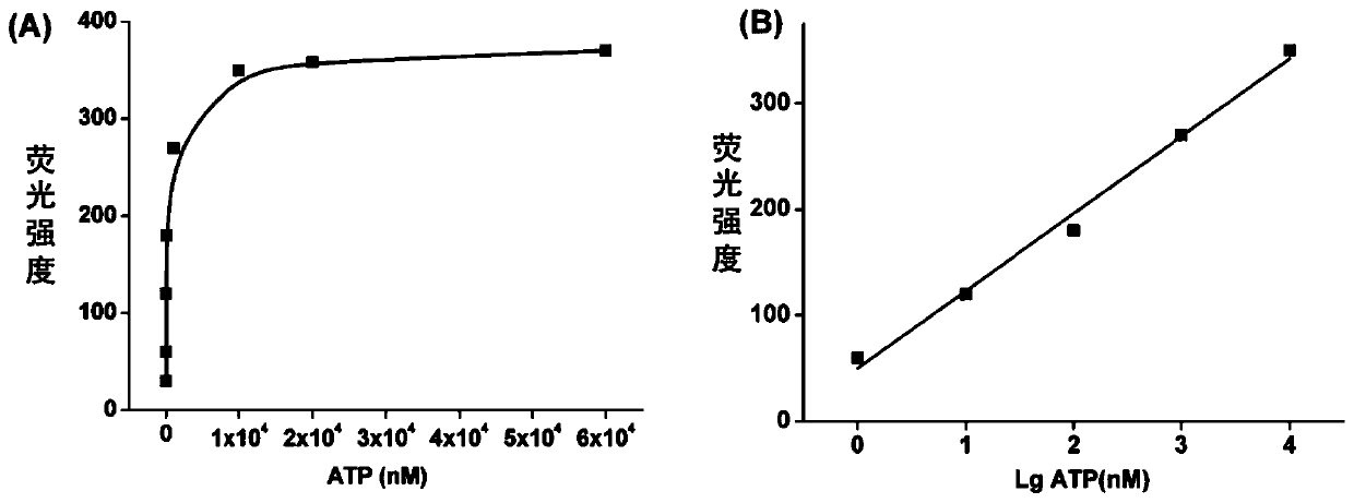 A detection kit based on nucleic acid aptamer