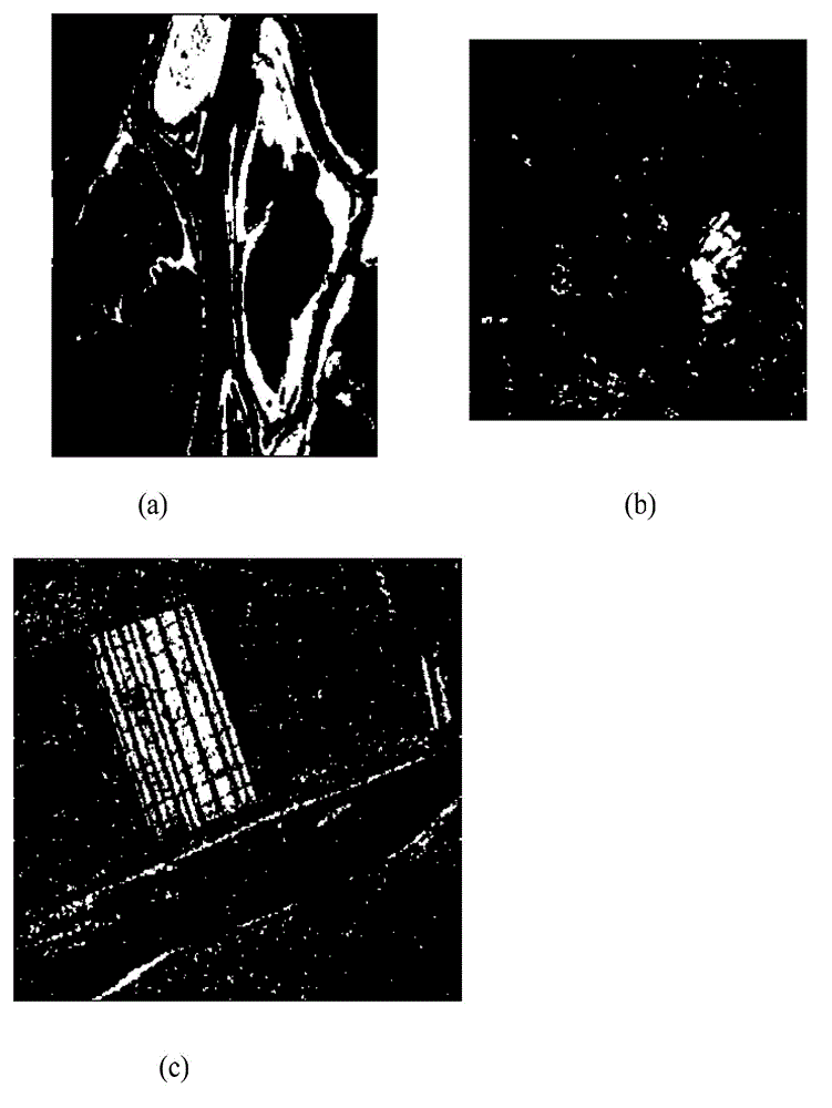 SAR (Synthetic Aperture Radar) image change detection method based on mixing model