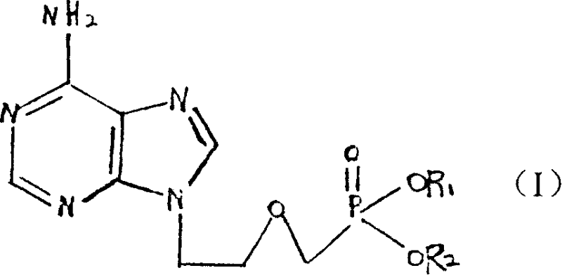 9-[2-(phosphonomethoxy)ethyl] adenine bicycloalkoxide and its preparation