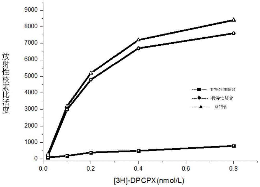 Adenosine receptor stimulating agent and application thereof