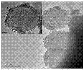 Preparing method for visible light response CdS/ (cal-Ta2O5-SiO2) composite photocatalyst