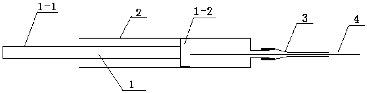 Device for capturing fetal nucleated red blood cells (NRBCs) from parent bodies in vivo and in situ and application of device