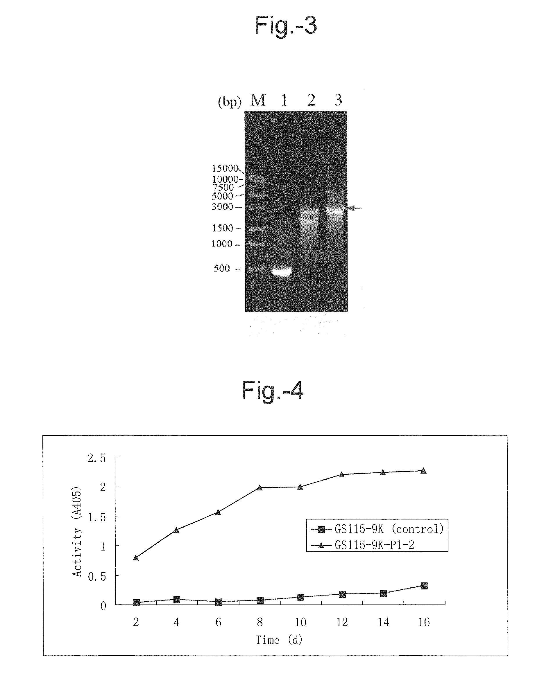 Novel glycosyl hydrolase with beta-xylosidase and beta-glucosidase activities and uses thereof