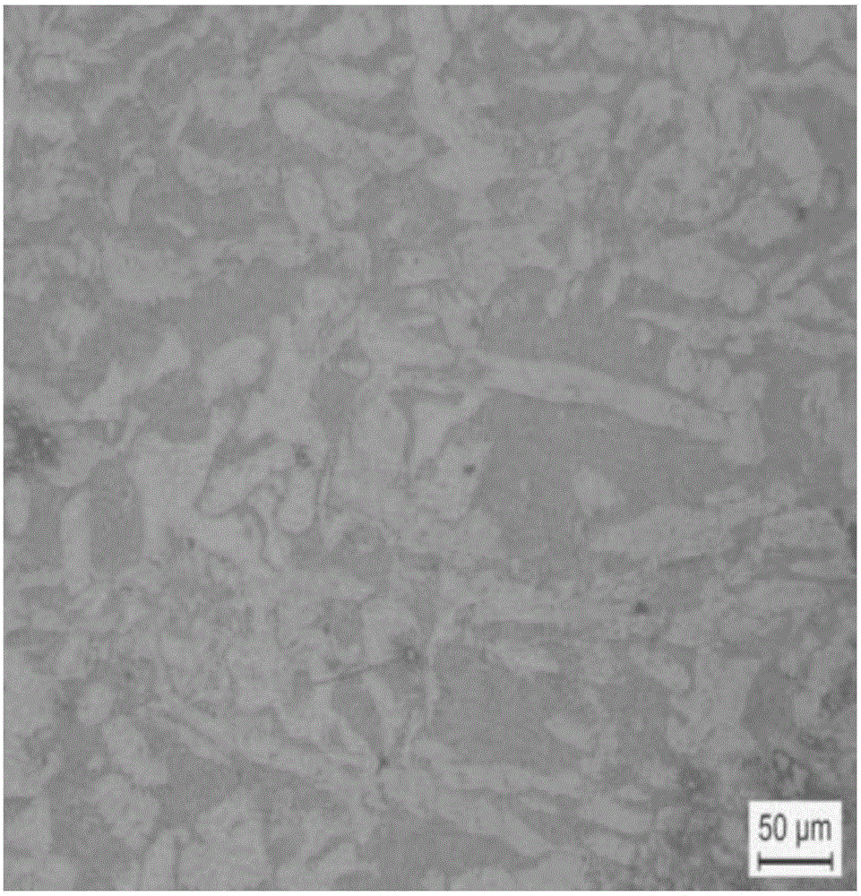 Erbium strengthened magnesium-lithium alloy and preparation method thereof