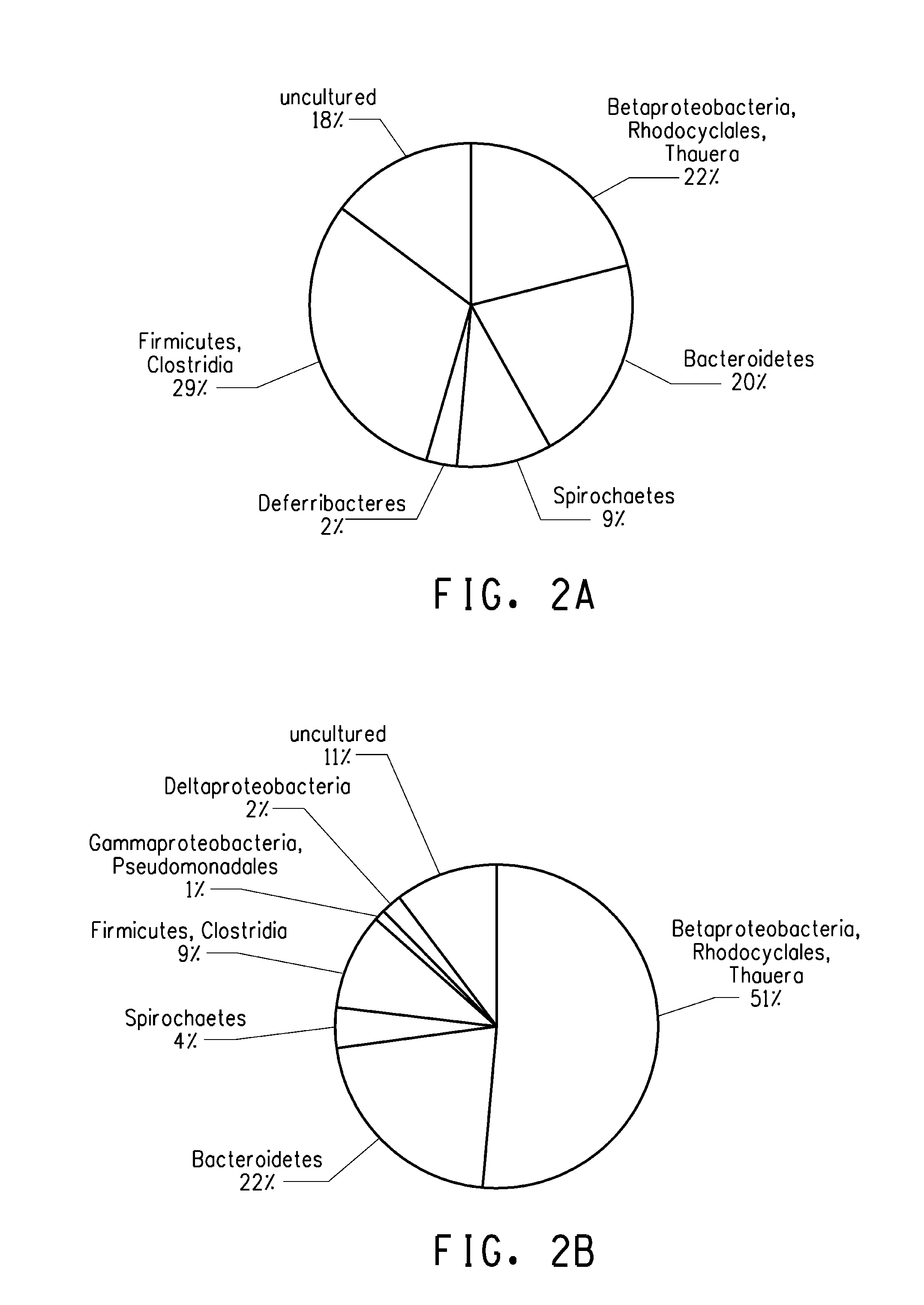 Method of improving oil recovery from an oil reservoir  using an enriched anaerobic steady state  microbial consortium