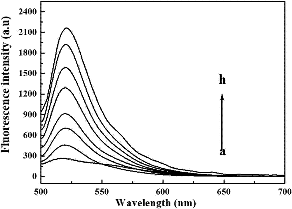 Prostate-specific antigen detection reagent and kit