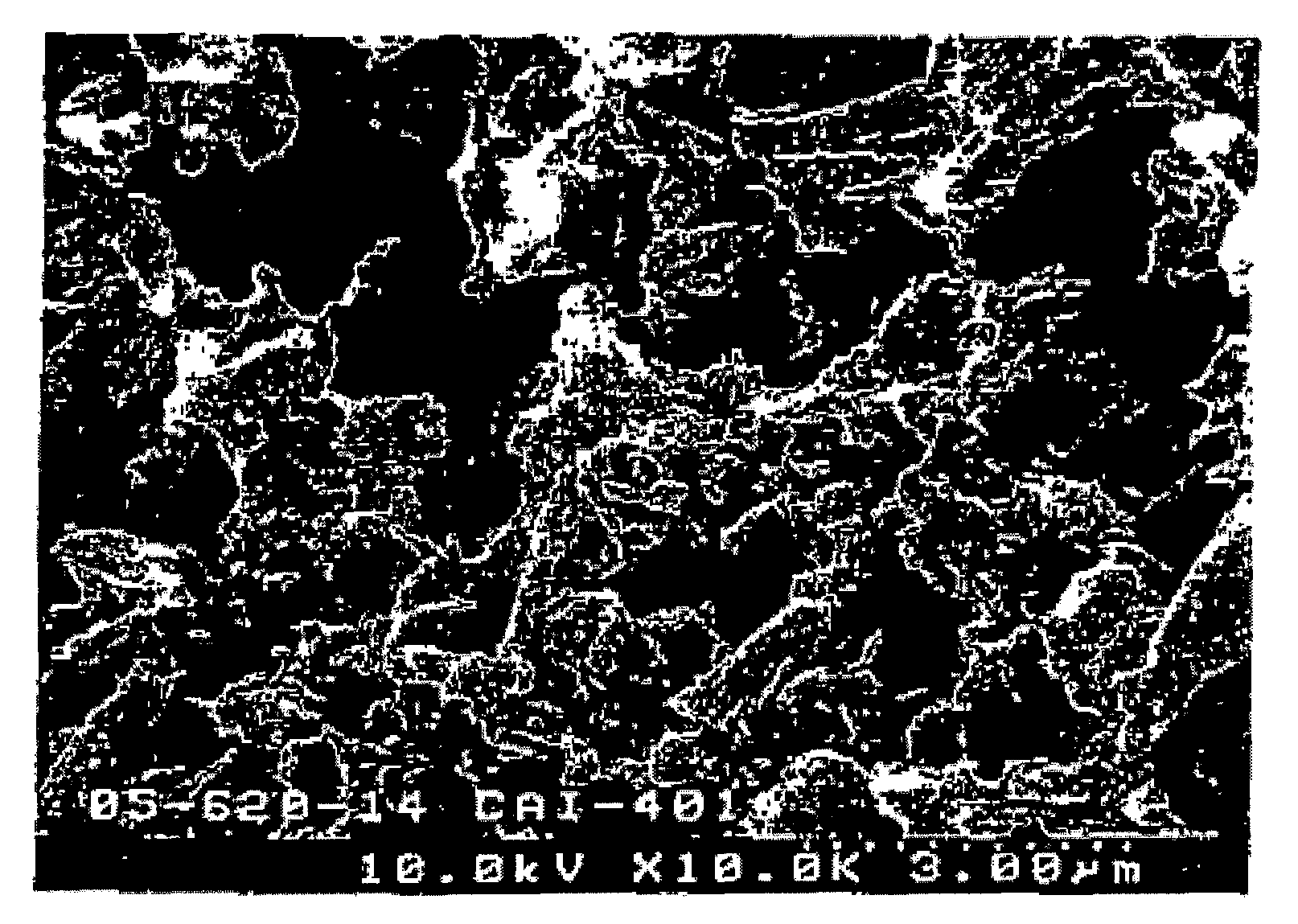 Antifungal/antibacterial agent comprising two-step baked shell powder