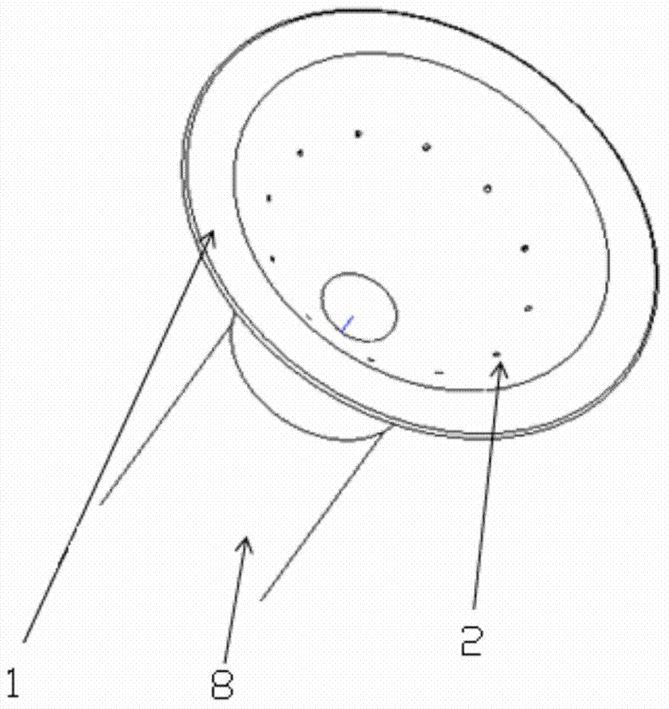 Flexible flushing and absorbing head