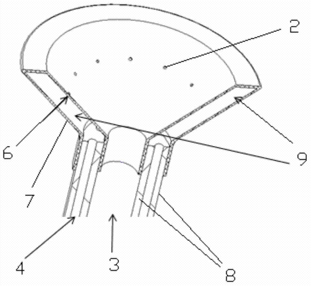 Flexible flushing and absorbing head