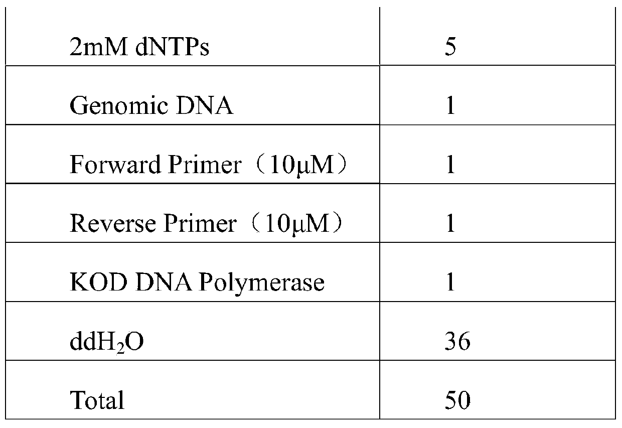 Process for producing dark tea through inoculation method