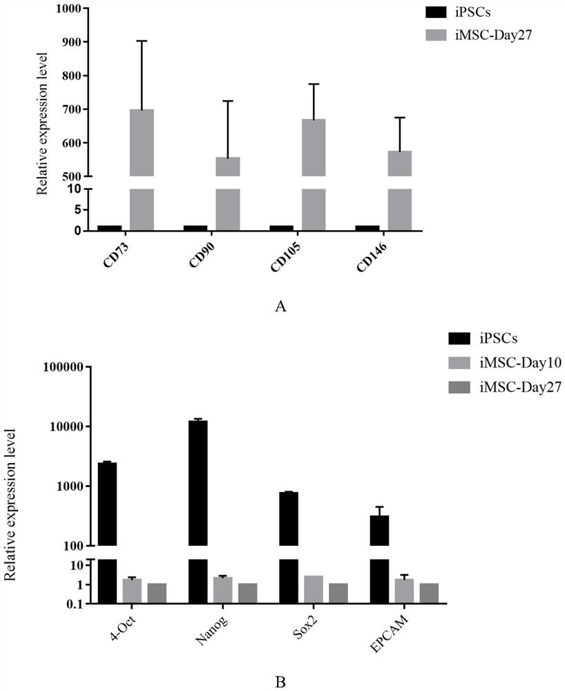 A medium combination and method for inducing pluripotent stem cells to differentiate into mesenchymal stem cells