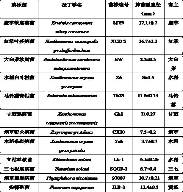 Lysobacter antibioticus HY strain and application thereof