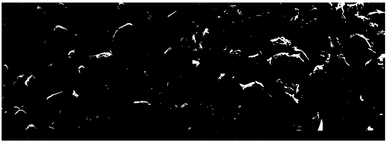 Method for directly recycling graphite anode material