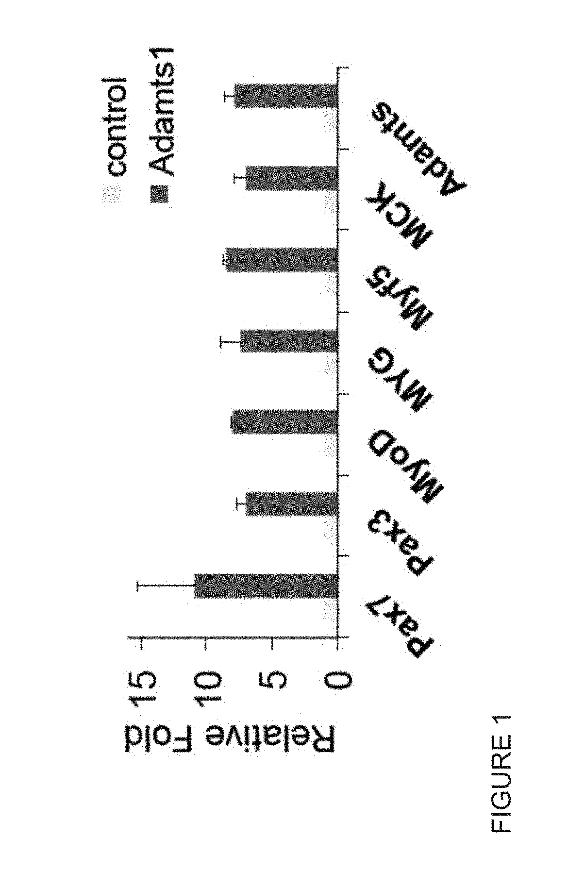 Modulation of muscle and adipocyte distribution and fate