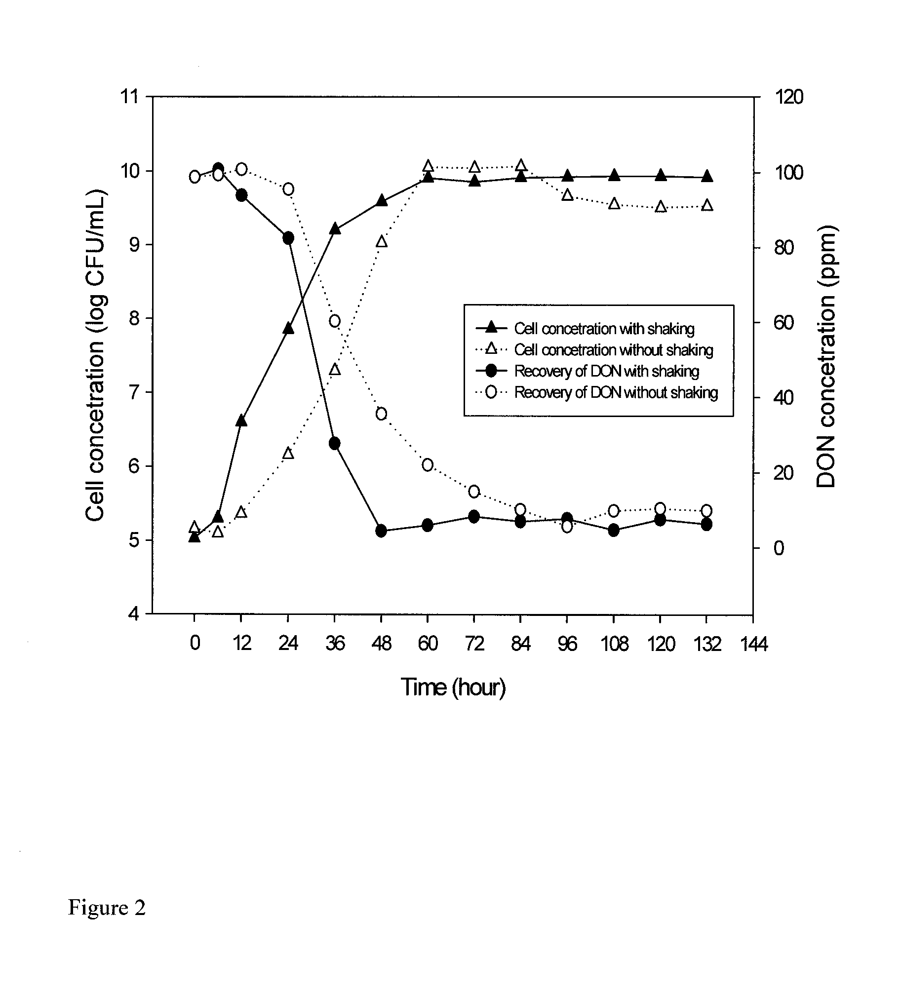 Bacterial isolate, methods of isolating bacterial isolates and methods for detoxification of trichothecene mycotoxins