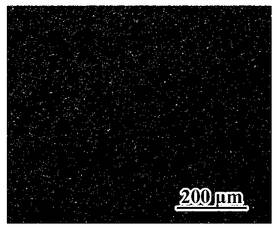 Composite coating material for metal surface and application thereof