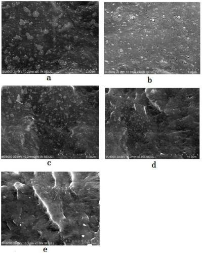 A kind of white carbon black/rubber composite material preparation method