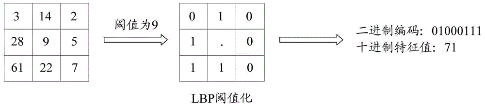 Face identification method and apparatus