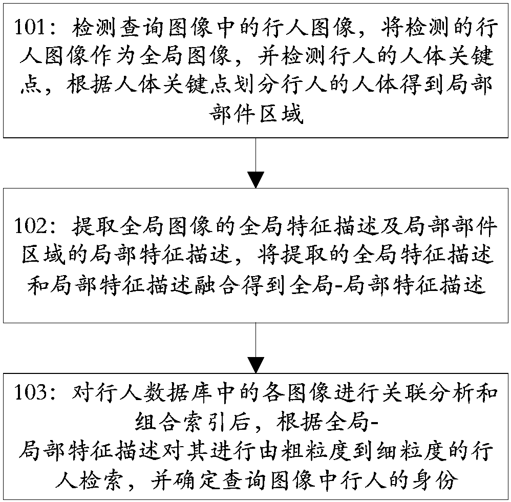 Pedestrian re-identification method and device based on global features and coarse granularity local features