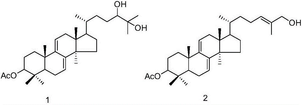 Triterpene compound, and preparation method and applications thereof